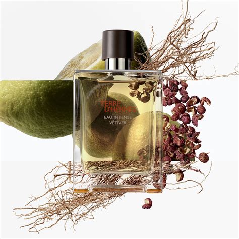 profumo terre d hermes vetiver|terre d'hermes perfume.